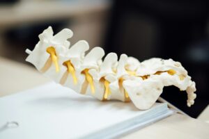 Read more about the article The Crucial Connection Between Traumatic Brain Injury and the Cervical Spine