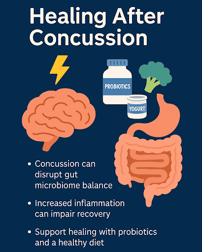 Exploring the Connection Between Concussions and Gut Health
