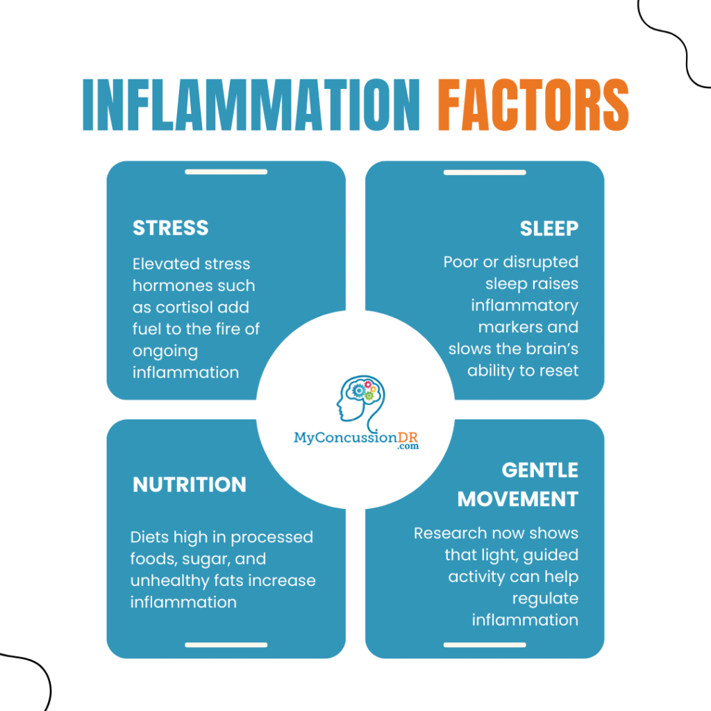 The Role of Inflammation in Concussion Recovery: What Science Reveals
